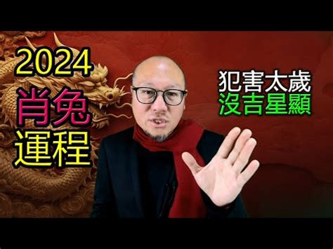 2024屬兔每月運勢|屬兔2024運勢前瞻：每月運程詳析